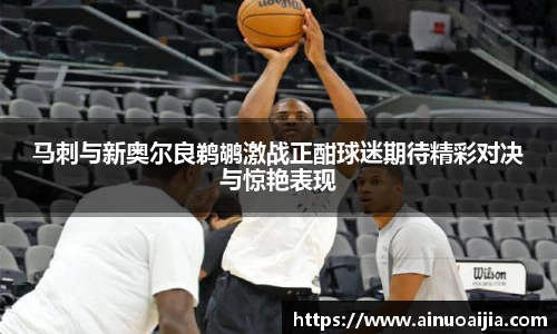 zoty中欧官方网站
