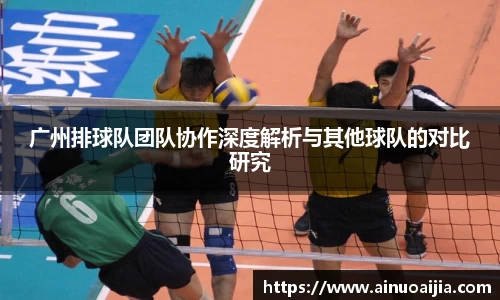zoty中欧