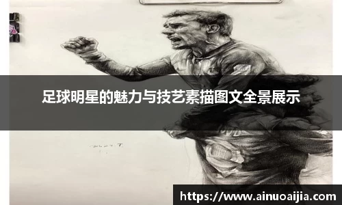 zoty中欧官网